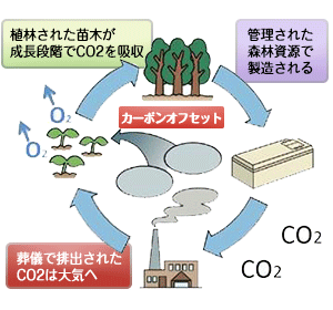 地球にやさしいサイクルイメージ｜葬儀で排出されたCO2は大気へ／植林された苗木が政調段階でCO2を吸収／管理された森林資源で製造される